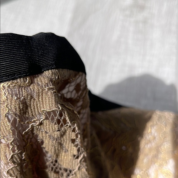 NWT Boden Elegant Lace Tan Skirt, size 2. - Picture 6 of 9